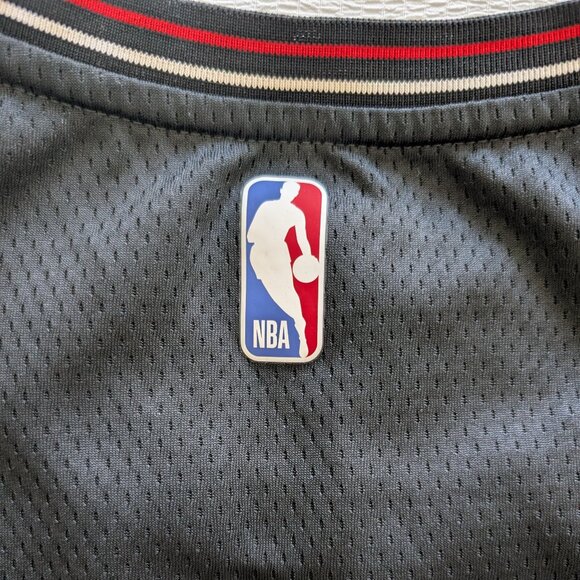 AUTHENTIC Chicago Bulls Nike Blank Jersey - Picture 6 of 9